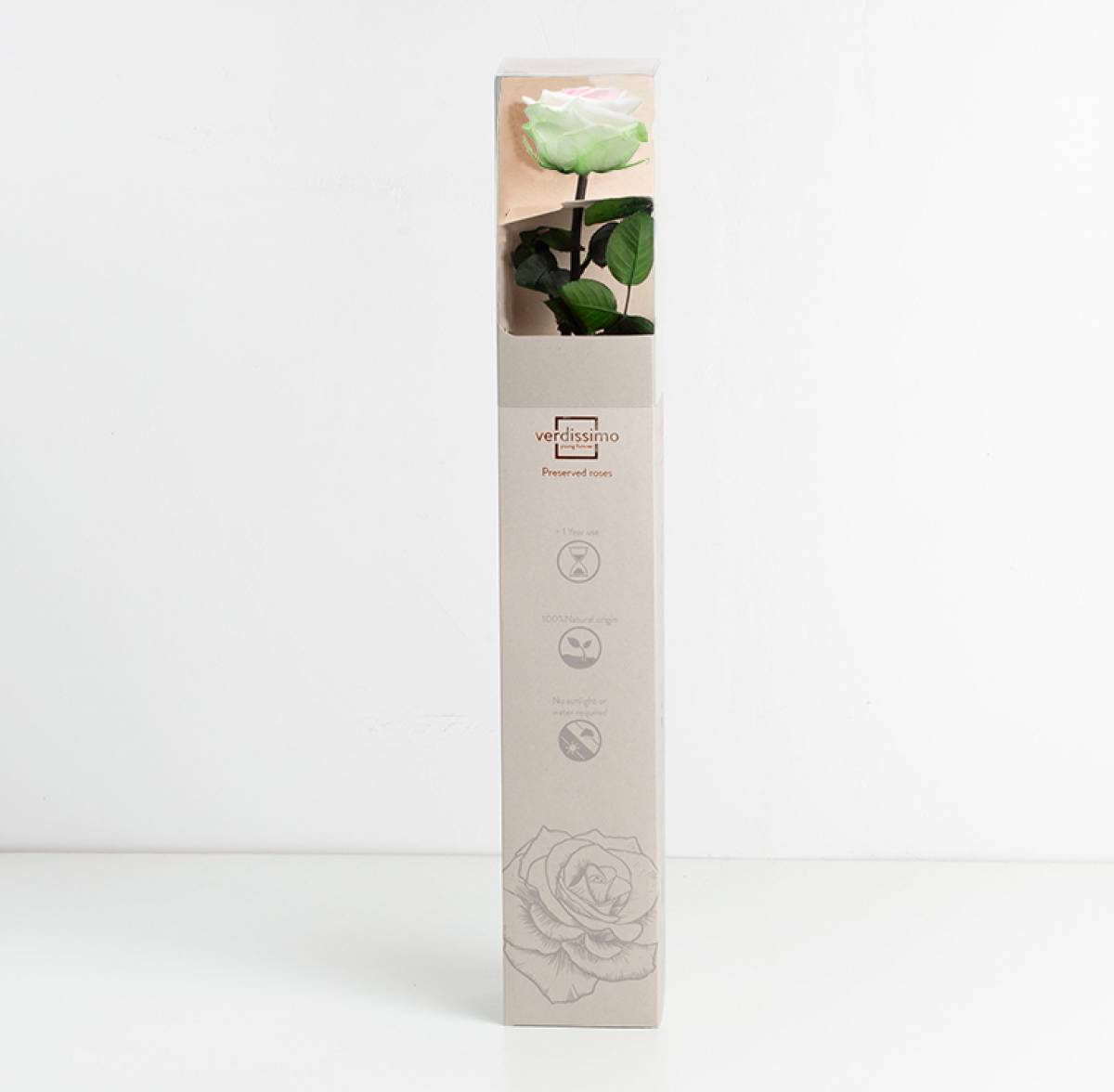 Amorosa Premium Tricolor, Trandafir Natural Conservat