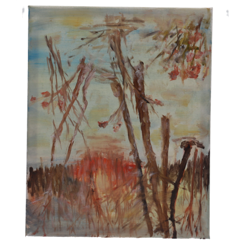 Pictura in ulei pe panza cu sasiu de lemn "Amurg printre Ramuri"